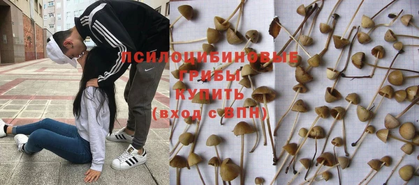 ALPHA PVP Алзамай