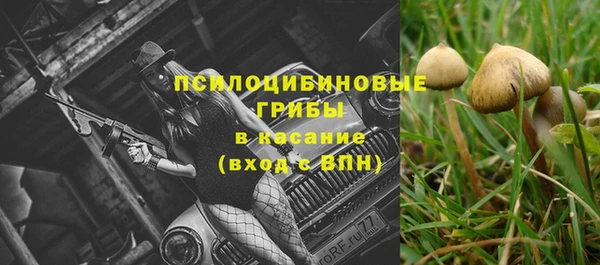 ALPHA PVP Алзамай
