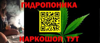 хмурый Гусь-Хрустальный