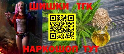 тгк Гусев
