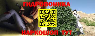 хмурый Гусь-Хрустальный