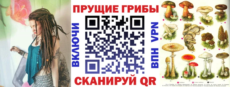blacksprut как войти Люберцы Псилоцибиновые грибы Cubensis где купить наркоту