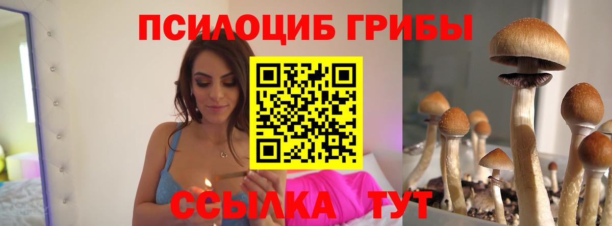 купить  цена  Псилоцибиновые грибы ЛСД  Вход с VPN  Люберцы 